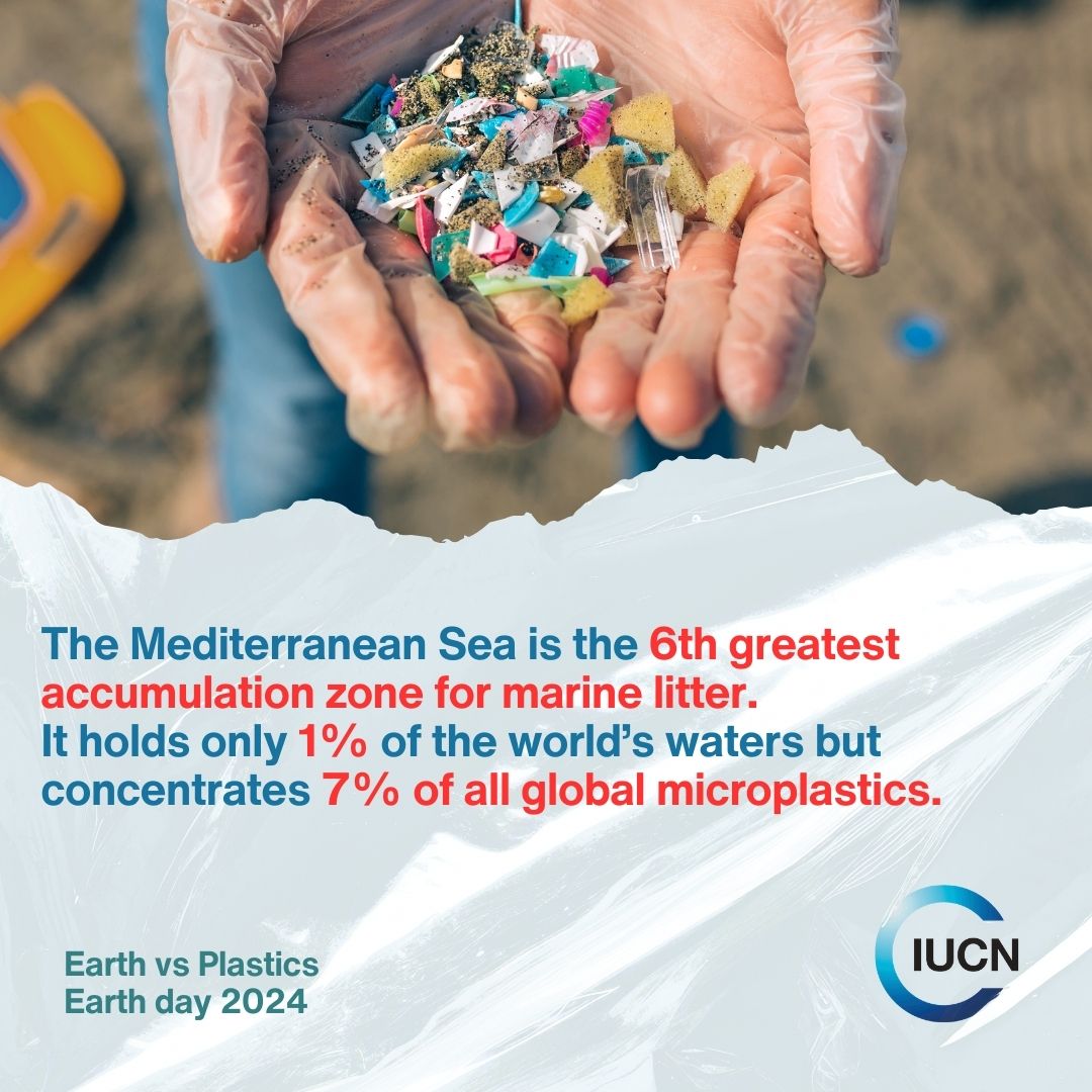 🌊Plastic pollution is a risk to all life. We must close the plastic tap to recover healthy ecosystems. We urge the Intergovernmental Negotiating Committee to incorporate a dedicated article on “Biodiversity Aspects” in the future #PlasticsTreaty. #plasticdetox #EarthDay #INC4