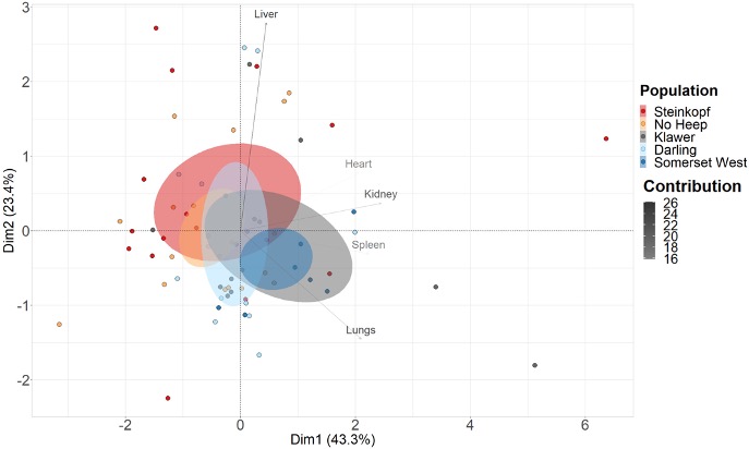 Congrats @hana_merchant on your PhD paper out today in @Ecol_Evol! Our paper (with @moleratsarego @QMUL, & team at @UPTuks) is all about 'New insights into morphological adaptation in common mole-rats along an aridity gradient'. Link below! @RHULBioSci @GroupBowen #OpenAccess