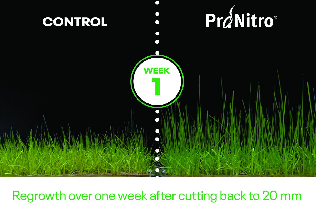 Pronitro® seed coating provides a helping hand for every seed you sow! 🌱 Pronitro® is perfect for landscapers coming standard on our Masterline PM50 Nitro Quality Lawn mixture. However Pronitro® can be added to any turf mixture. dlf.co.uk