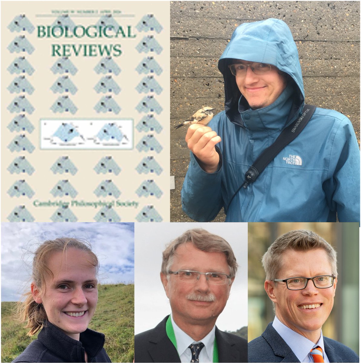 Our Nav02 researchers have just published a review on "A conceptual framework on the role of magnetic cues in songbird migration ecology". Find the original article here: doi.org/10.1111/brv.13….