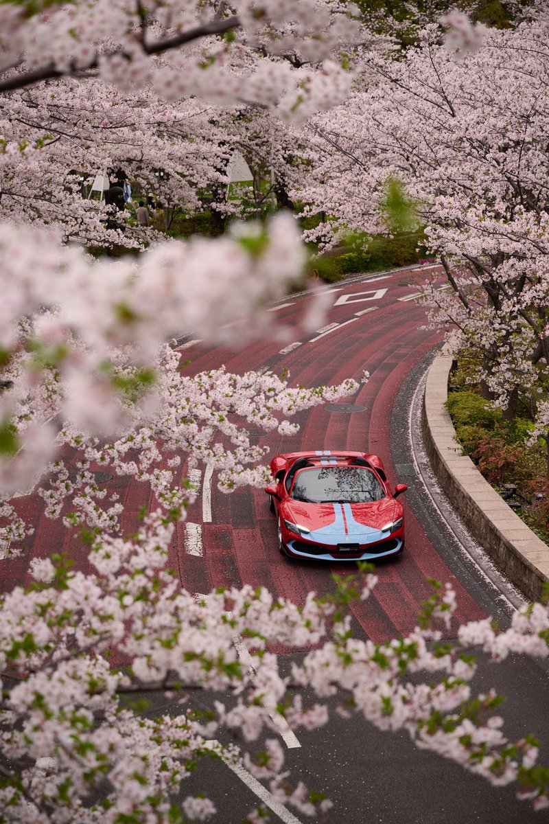 We hear you love sakura photos for your phone's wallpaper 🌸😊 #Ferrari296GTS #Ferrari #Tokyo