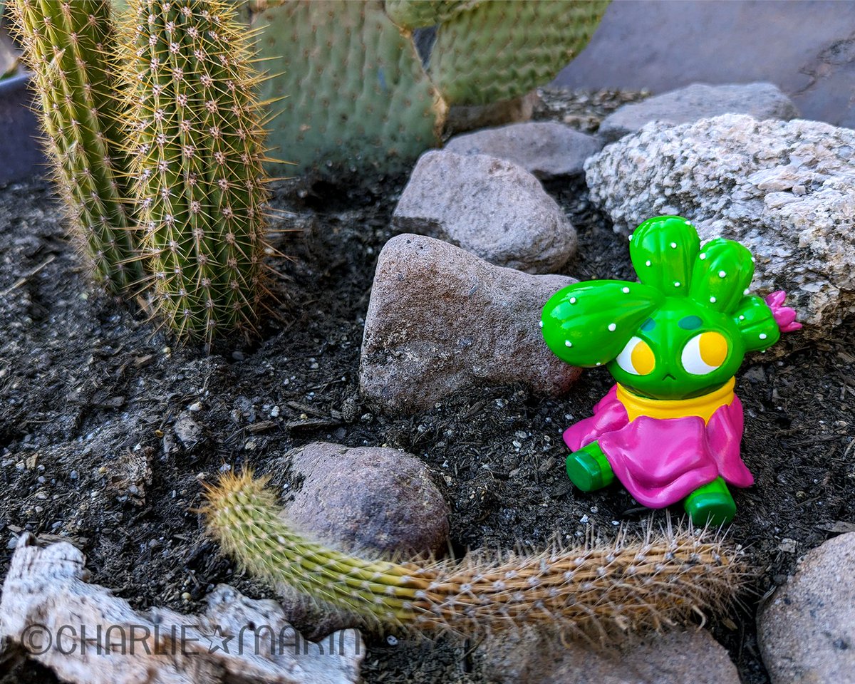 🌵Saboten no Ko - The Cactus Kid🌵

#サボテンの子 #CactusKid #resintoy #designertoys #arttoy #toycollector #sofvi #cactus #サボテン #flower #花 #resinarttoy #desert #Arizona #prototype #toyprototype