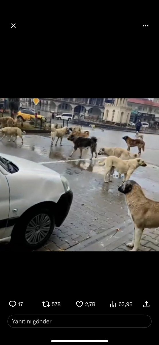 O dostluğu biz değil siz bozdunuz. Sınırsız ve akla zarar bir beslemeyle sahipsiz başıboş k@pek popülasyonunu patlattınız. Çeteleşmesine agresifleşmesine sebep olup milleti boyun eğmeye zorladınız. Şikayet edenleri bastırıp sorun çözülmesine engel oldunuz. Bu tablonun sorumlusu…