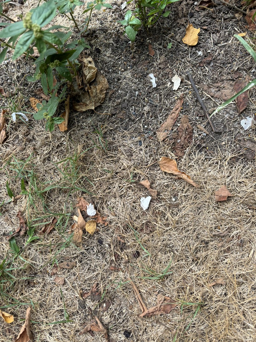 DeCleanupNet's tweet photo. Today is #touchplastic N5 by @petgasmx 
Happy Earth Day 🌎 
“Microplastics style” by @luminaenvision 

This little garbage is the most disgusting as it’s so little that people rarely find it and pay attention to it
 @Earthbasedsoul @wetrybetter @greenpillbrasil https://t.co/LWRPcZPJZX