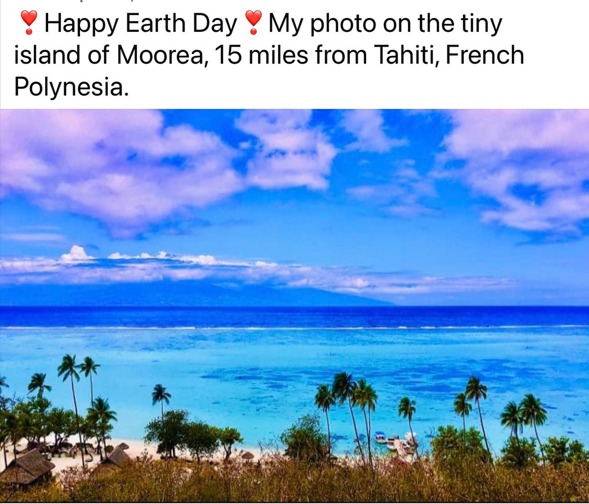 Happy #Earth Day‼️
let’s try to save our planet 
for future generations 

#HaikuChallenge #earth
#haiku @Bleu_Owl
#FrenchPolynesia
#Moorea #MyPhoto
#copyrightArtsySF©️
#photography
#EarthDay
