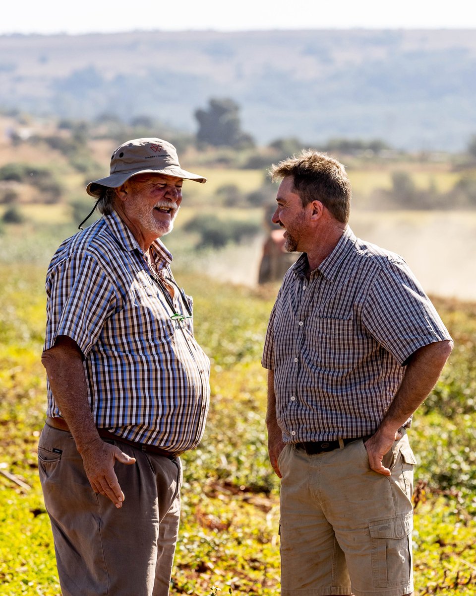MF_RSA's tweet photo. Jaco se verhouding met die handelaar Lybasol op die dorp strek al oor vele jare. 

👉 https://t.co/KV5ilwZwu1
👉 https://t.co/Ne6wA4d67D

#masseyferguson #masseyfergusontractors #MasseyFergusonSouthAfrica #FarmLife #Agriculture #FarmMachinery #Tractor #farm #tractors #AGCO https://t.co/fgS444oGDO