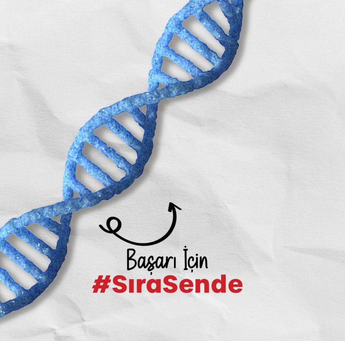 X Işını kristalografi ustası Rosalind Franklin, genetiğin temel taşlarını keşfetti ve kadınların bilimdeki yerini perçinledi.Bilimde kadının gücünü göstermek için #SıraSende