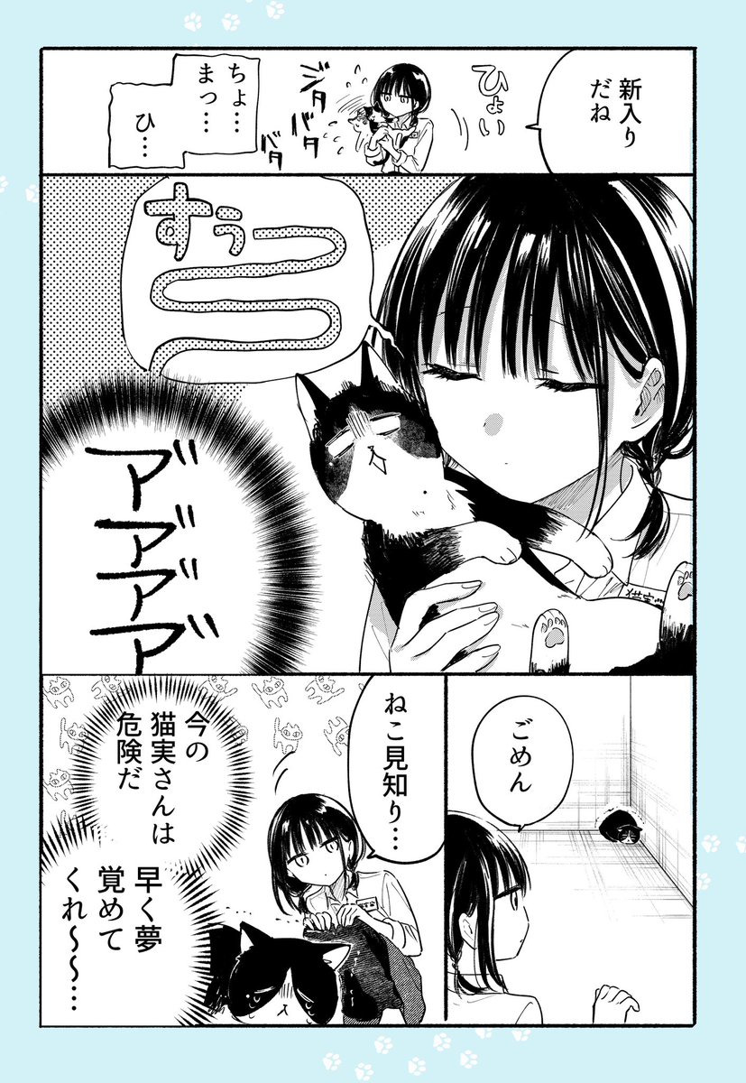 (2/2) 