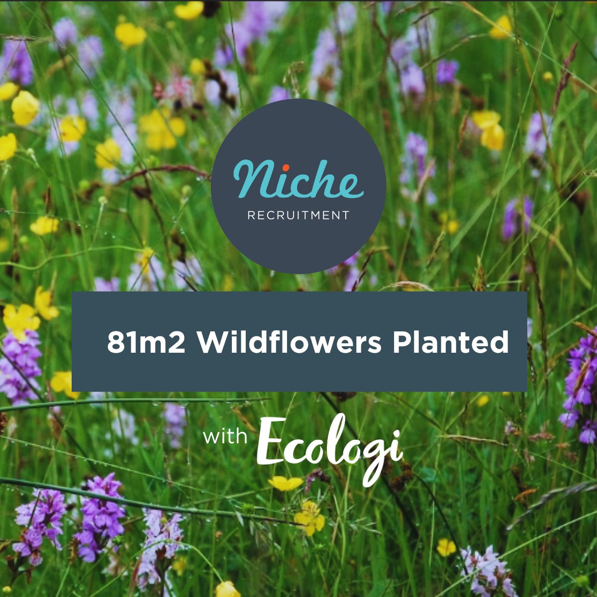 'There is no planet B'. 🌎

Our carbon-neutral placements have enabled us to plant: 

🌼 Sow 81m² of wildflowers 

🌳 Plant 2,316 trees 

💨 Offset 14 metric tons of carbon dioxide equivalent (tCO2e) 

#EarthDay #FindYourNiche