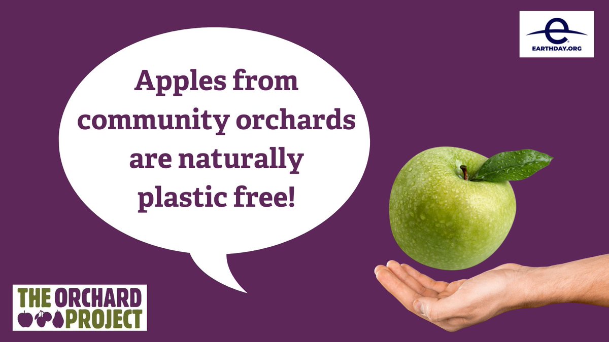 Single use-plastics pollute our Earth and adversely impact our health, but we know they can be hard to avoid. Sourcing more of your fruit locally can help reduce your plastic consumption - and those small changes add up 🌍! #EarthDay2024 #PlanetvsPlastics
