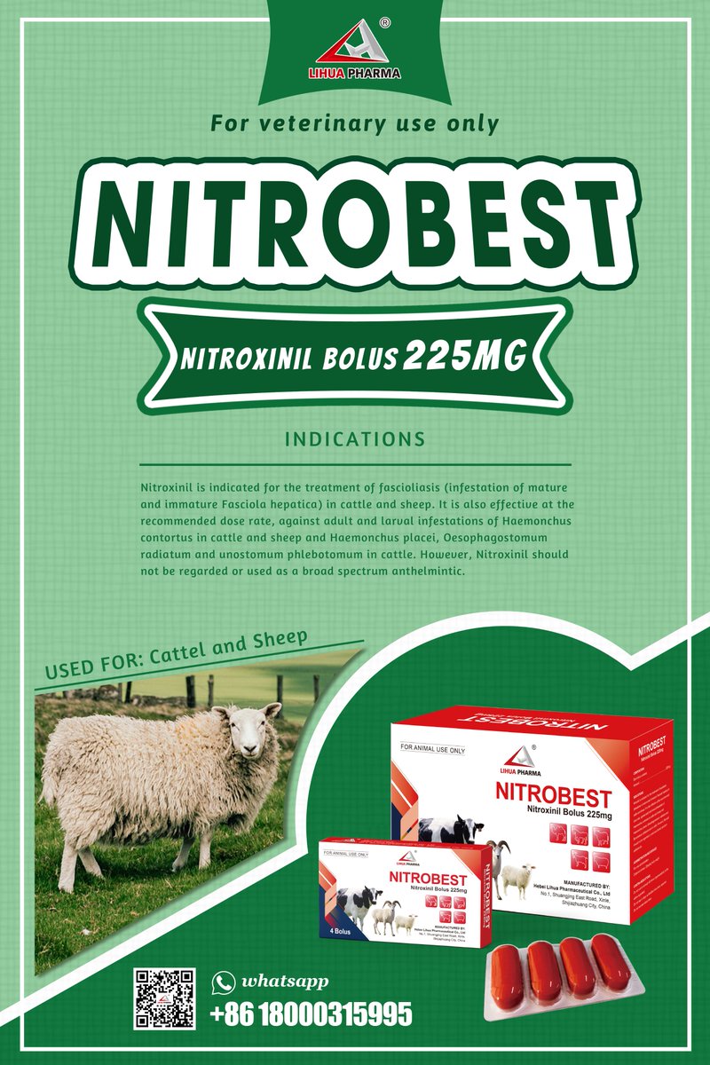 Introducing Nitroxinil Bolus 225mg - the solution for fascioliasis in cattle and sheep.
This powerful treatment targets mature and immature Fasciola hepatica infestations, ensuring the health and well-being of your livestock.
#Nitroxinil #LivestockHealth #FascioliasisTreatment