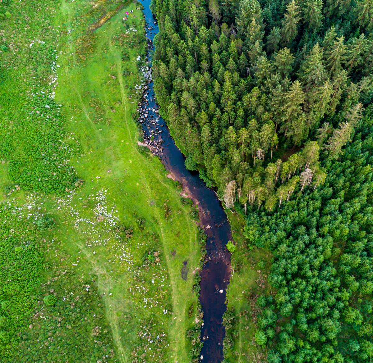 Make everyday #EarthDay🌍 Forests are invaluable to the health and well-being of our planet, and it is essential to protect and sustainably manage them for the benefit of current and future generations.