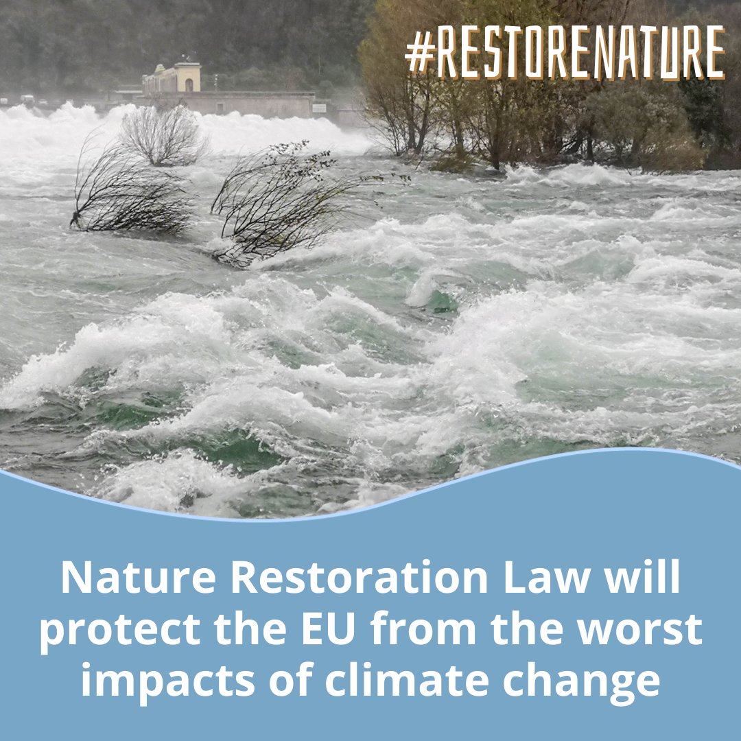 Claire Baffert (@cbaffert) on Twitter photo The EU #RestoreNature Law is a solution to address the increasing impacts of climate change. <a href="/EUCouncil/">EU Council</a> & @EU2024BE, please seal the deal! The EU #RestoreNature Law is a solution to address the increasing impacts of climate change. <a href="/EUCouncil/">EU Council</a> & @EU2024BE, please seal the deal!