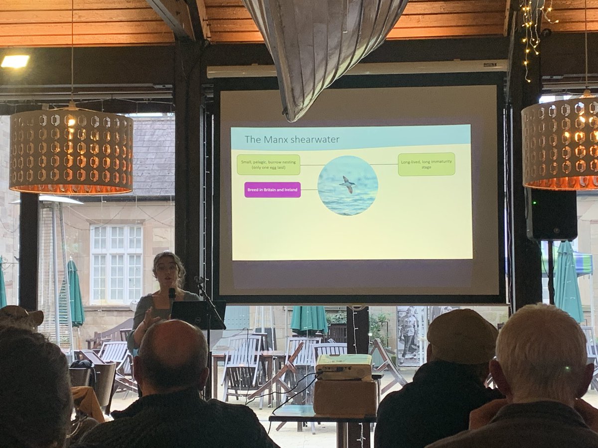 stevefyffe9's tweet photo. Great to be at the 2023 Northern Ireland Seabird report launch last week, listening to all the fantastic speakers @harris_sjh, @NiamhEsmonde and Hala Haddad updating us on the Seabird Monitoring Programme and science happening around Manx Shearwater. https://t.co/cDU4nnxbzE