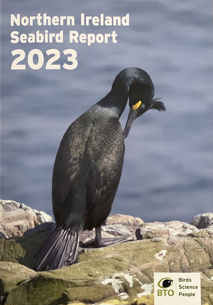 stevefyffe9's tweet photo. Great to be at the 2023 Northern Ireland Seabird report launch last week, listening to all the fantastic speakers @harris_sjh, @NiamhEsmonde and Hala Haddad updating us on the Seabird Monitoring Programme and science happening around Manx Shearwater. https://t.co/cDU4nnxbzE