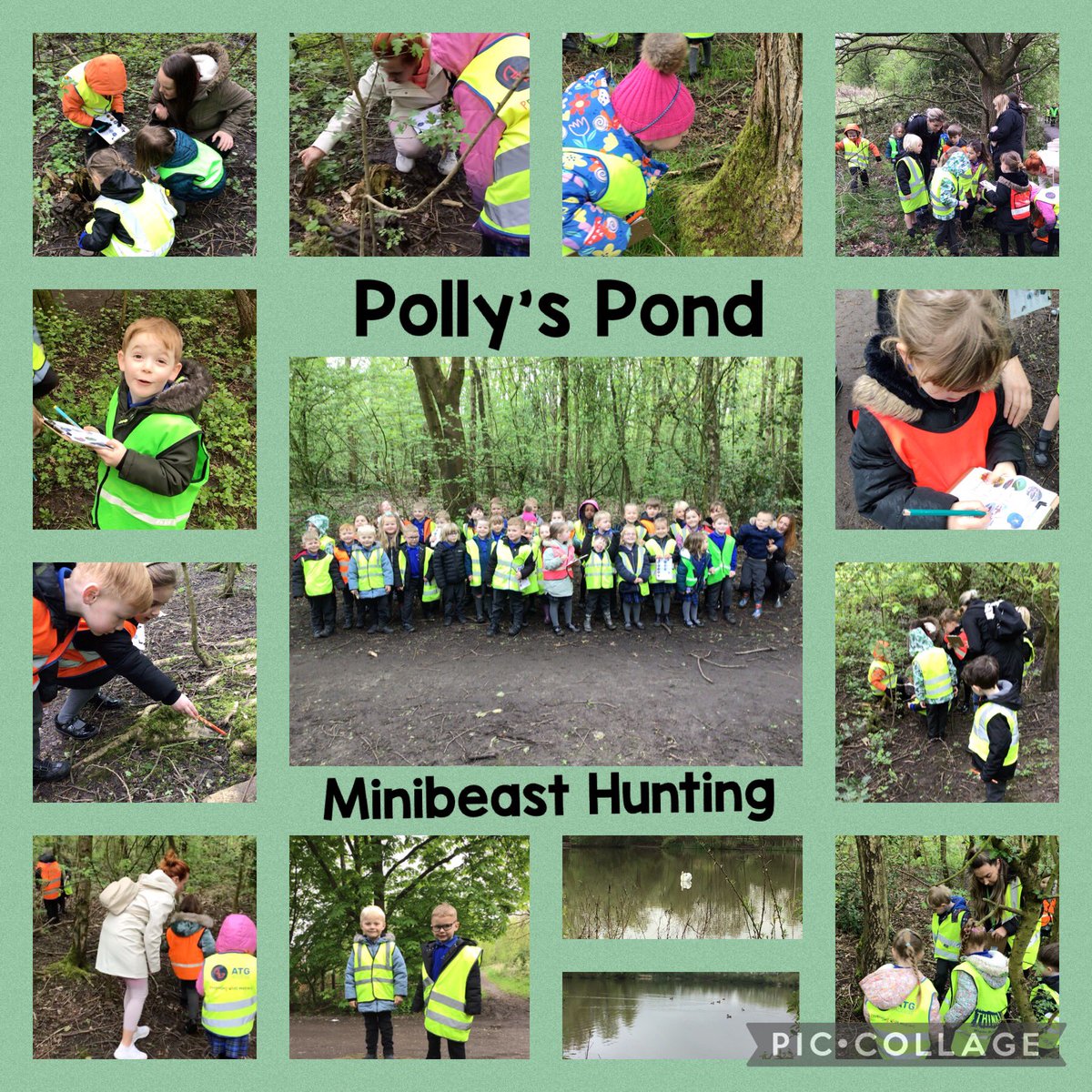 Reception have had a wonderful time at Polly’s Pond this morning. We went mini beast hunting, saw the ducks and swans, and walked a very long way 🙂. We are so proud of how well the children got involved with the learning! @CEO__Quest @QUESTtrust #EYFS #aweandwonder