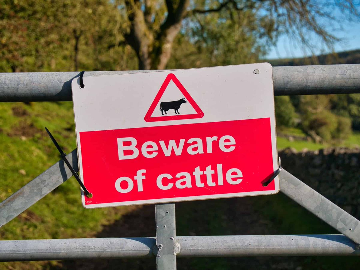 Ensure your farm's safety by understanding the UK's HSE Farming Laws 🚜 Join our webinar to gain insights and stay compliant! Click the link for more info: wix.to/v7LPNS2 #FarmingSafety #Compliance #FarmManagement