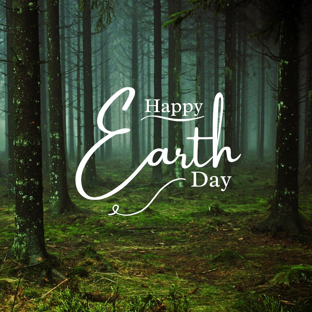 Happy Earth 🌍 day 2024 ,is under the theme ;Planet Vs PlasticCalls responsible for sustainable forests management practices which are the key to natural cycles forests growth . The sustainability of the forests-based value chain.#saveEarth #ForNature