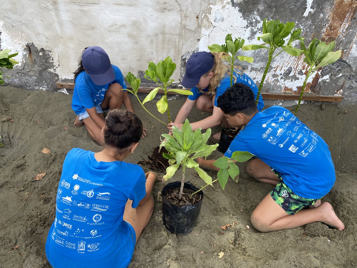 AME974StLeu's tweet photo. Pour le #JourDeLaTerre, les élèves de @AME974StLeu ont mené des actions écocitoyennes @SaintLeu974  pour l'environnement : planter sur la plage, sensibiliser sur la problématique des bassins versants, faire des semis, gérer le composteur... @OFBiodiversite @AcLaReunion #EDD 🌎🇷🇪 https://t.co/PqIjztCd49
