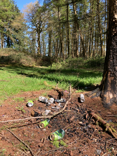 Saturday's 15-mile hike from Ponty to Llanwonno and back was so nearly perfect. Just the litter floating between the ducks, the remains of parties and miles of rubbish through the forest and lanes to spoil the views... 💔
#EarthDay24 #NoPlanetB #RespectProtectEnjoy #BeTheChange