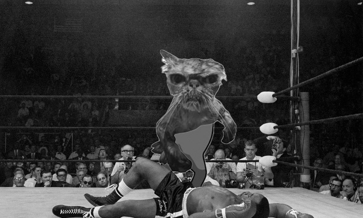 m3m3nt0x's tweet photo. @blknoiz06 $DRZL - A cat meta gem 💎 on #PUMPDOTFUN . 

Send it to Raydium https://t.co/T1O8GId5D1

X @itsjustadrizzle 

#pumpfun #Memecoin2024 #memecoin #MemeCoinSeason2024 https://t.co/KdX5UYMugv