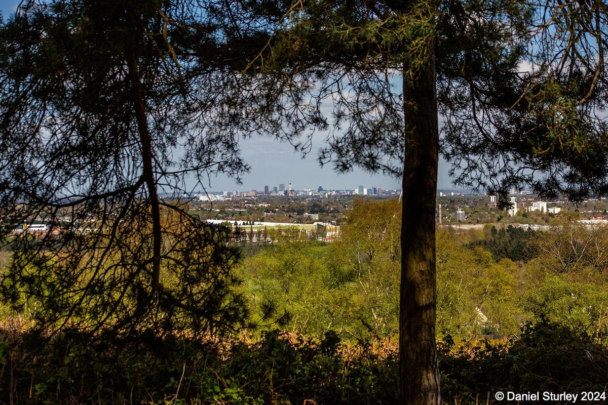 #Birmingham UK, the #CityInTheTrees from Lickey Hills Country Park yesterday 😎 #BirminghamWeAre #SeaOfTrees