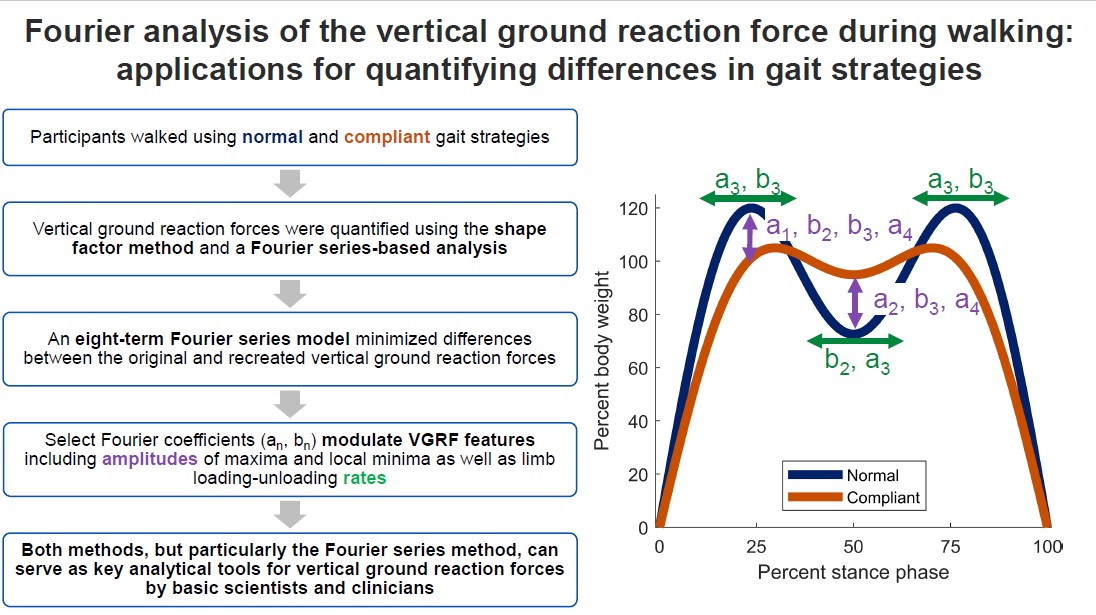 Journal of Applied Biomechanics (@japplbiomech) on Twitter photo Amplitudes of nine Fourier coefficients - which contribute to VGRF features - were different between normal and compliant walking, suggesting that Fourier series-based methods distinguish between gait strategies.
doi.org/10.1123/jab.20…
<a href="/TaylorTrentadue/">Taylor Trentadue</a> Amplitudes of nine Fourier coefficients - which contribute to VGRF features - were different between normal and compliant walking, suggesting that Fourier series-based methods distinguish between gait strategies.
doi.org/10.1123/jab.20…
<a href="/TaylorTrentadue/">Taylor Trentadue</a>