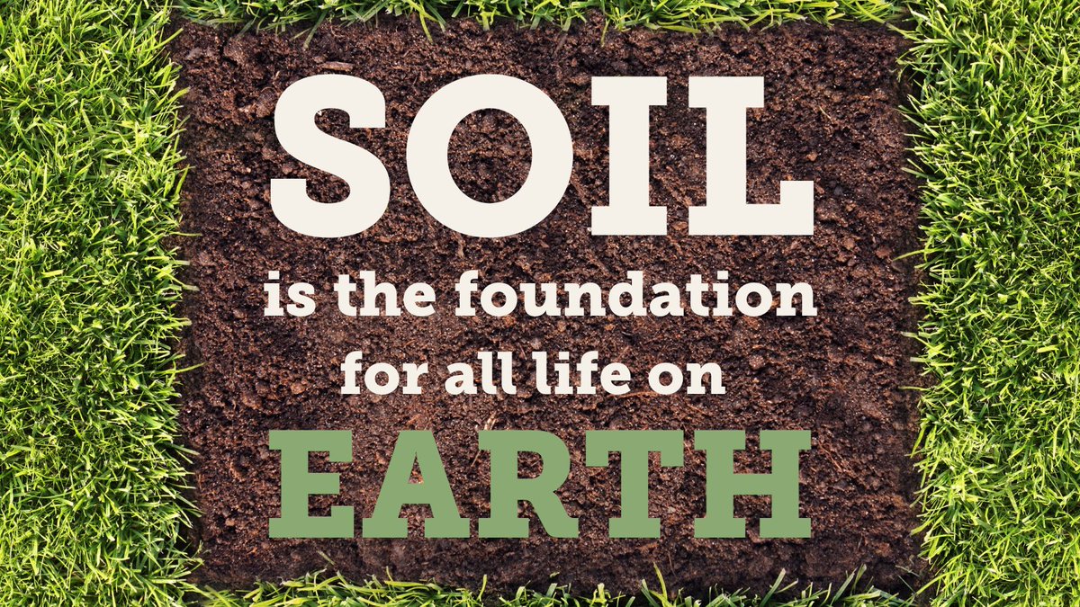 Happy #EarthDay 🌍 💚 🌱 Today is all about protecting our incredible planet, and all the life upon it. #Soil is essential to life on earth. Learn more about how vital soil is for the health of our planet: soilassociation.co/3w4ROaN