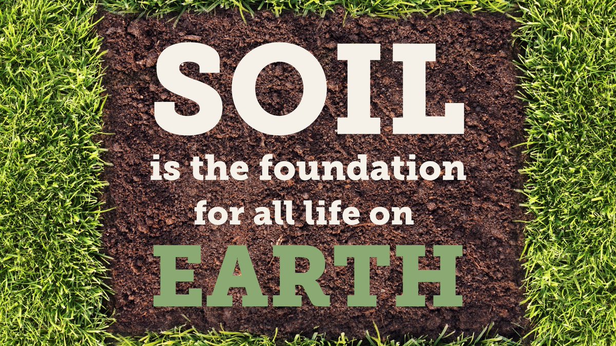 SoilAssociation's tweet image. Happy #EarthDay 🌍 💚 🌱

Today is all about protecting our incredible planet, and all the life upon it. #Soil is essential to life on earth.

Learn more about how vital soil is for the health of our planet: soilassociation.co/3w4ROaN