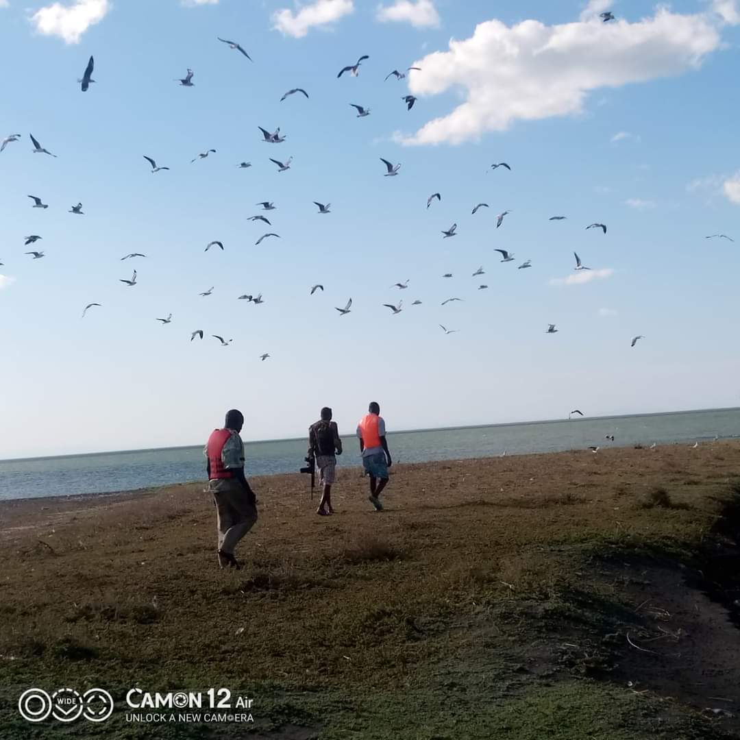 🚣‍♂️ Dive into the thrilling world of water sports amidst the stunning backdrop of Sibiloi National Park! From kayaking to windsurfing, there's no shortage of excitement waiting for you. Come and experience the thrill! 💦 

#ExploreExperienceConserve   #TunzaMaliYako #Nature