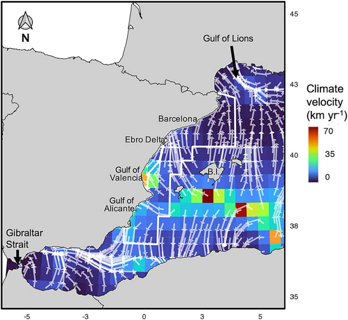ieo_baleares's tweet photo. 🗞️ #IEO_Baleares_Publication et al ➡️ 'Climate velocity drives unexpected southward patterns of species shifts in the Western Mediterranean Sea'

https://t.co/A67nDQGLUZ

#MEDITS #CLISSARTES @FundacionAXA @CocochaProj @vadapes @GRECOresearch  @MarinaSanzM https://t.co/JBJi4m3jnb