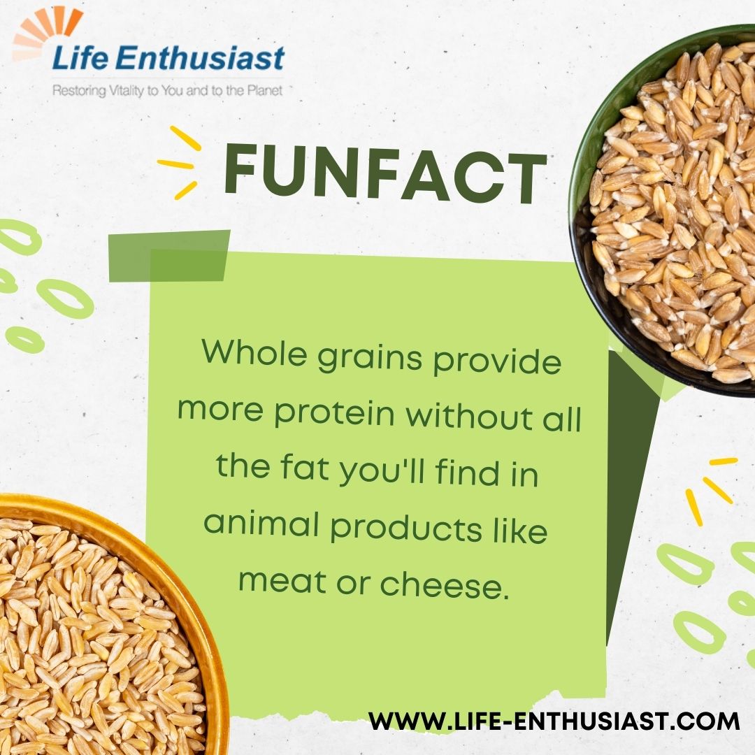 Consider incorporating more whole grains into your meals!

rfr.bz/tl8ej2o

#GrainsForGains #LeanProtein #PlantBasedProtein #HealthyChoices #NutritionFacts #WholeGrainGoodness #MeatFreeProtein #HealthierOptions #BalancedDiet #FunFact