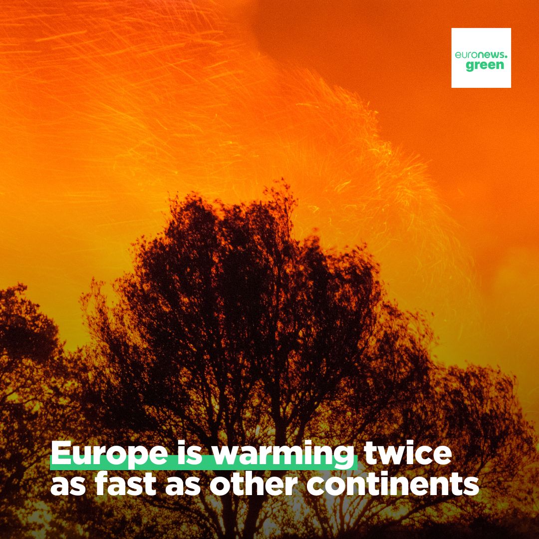 Extreme weather fanned heat waves, wildfires, droughts and flooding, the report said. euronews.com/green/2024/04/…