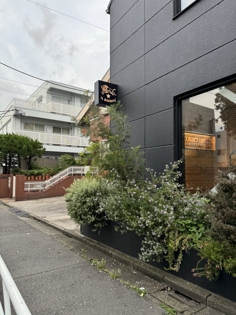 nobi's tweet image. #daikanyama today