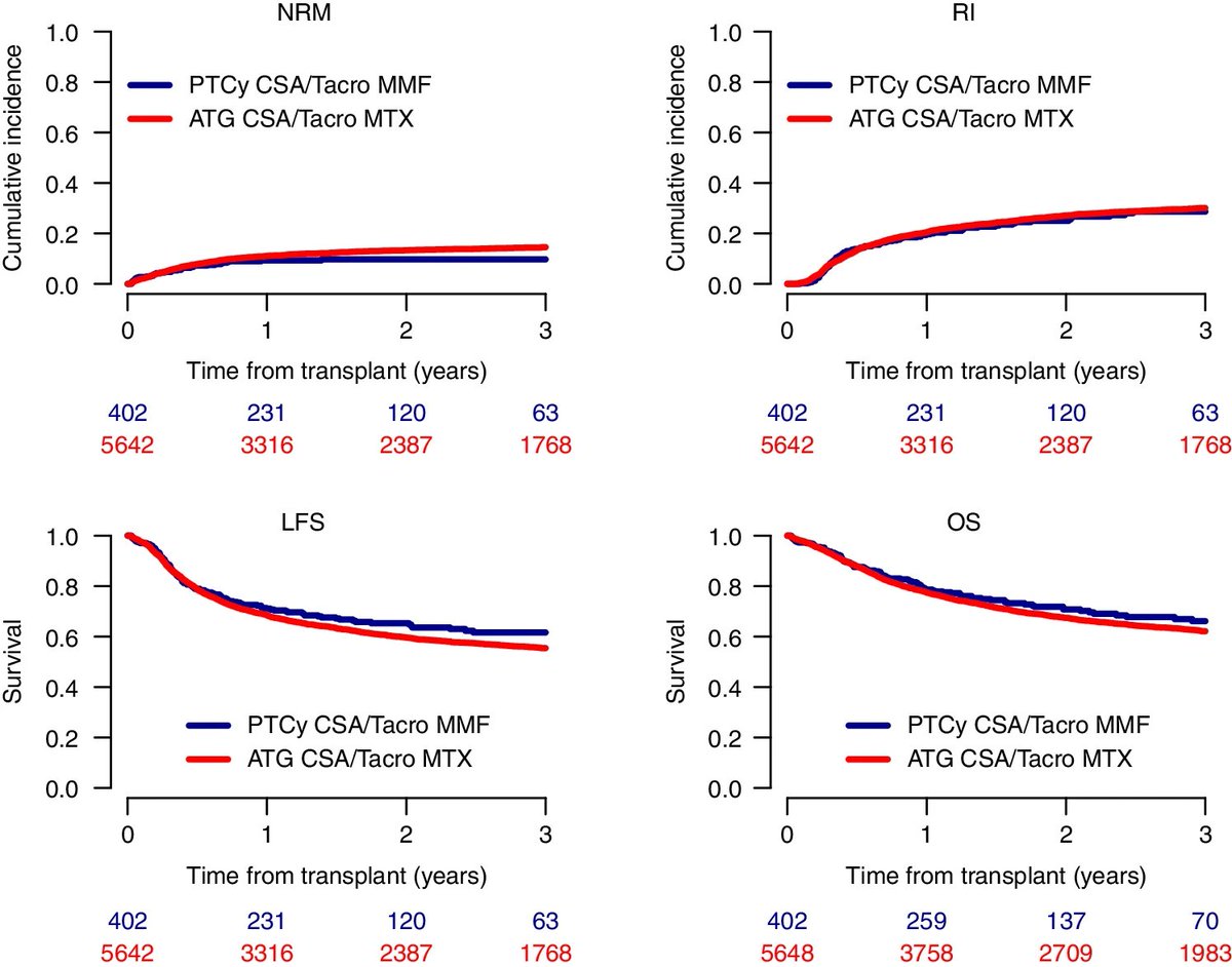 PTCY CsA/Tacro MMF v ATG CsA/Tacro MTX as GvHD prophylaxis post allo-HSCT from sibling and unrelated donors in AML: a study on behalf of the Acute Leukemia Working Party of the @TheEBMT 
nature.com/articles/s4140…

@Mohty_EBMT @TheEBMT_Trainee #BMTsm #leusm