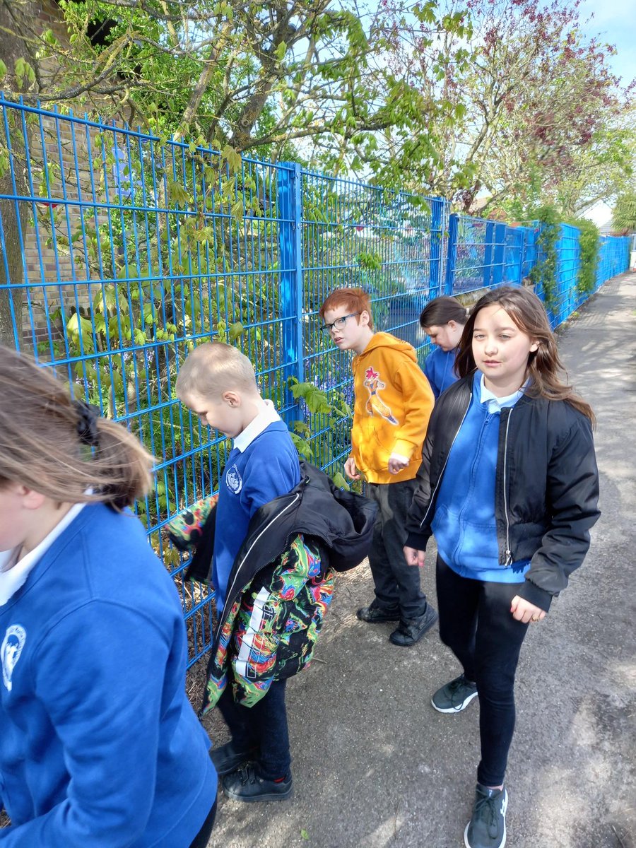 FrobisherPri's tweet image. As part of our assembly on "Consideration," all of SMFA completed a whole-school litter pick this morning. Year 6 helped our neighbours and cleared the fronts of the surrounding houses as well as the school! #consideration #values #community #reach2trust