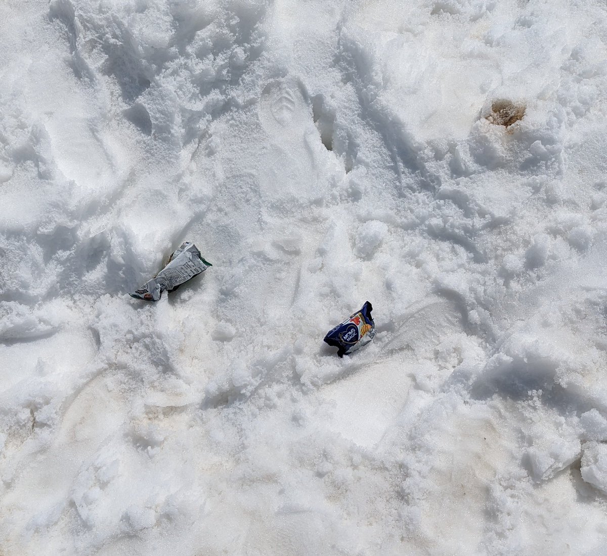 Today is #EarthDay . My request to everyone - please don't litter. These packets were strewn at Razdan Pass at an altitude of 11,667 ft in an otherwise pristine snow environment. I picked these up but felt very sad as to why people litter like this 😞 #EarthDay2024 🌏