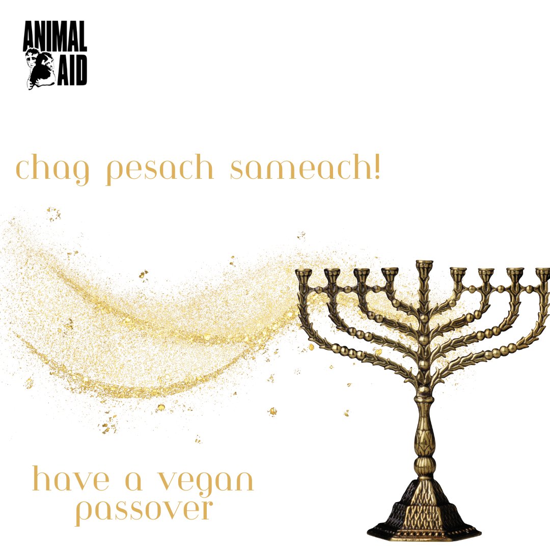 Wishing a happy vegan passover to those celebrating. Click on the link in our bio for some delicious vegan recipes perfect for your celebrations. #passover #vegan #veganholiday
