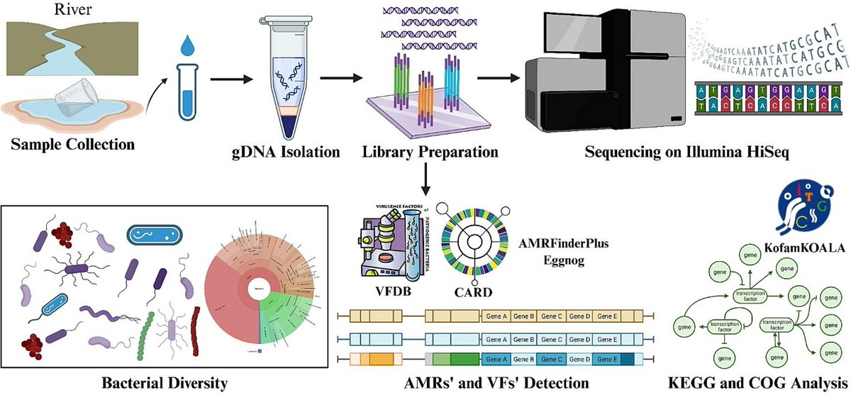 Latest research published in Current Research in Biotechnology. Editor-in-Chief @_atanas_ 📑Metagenomics analysis of sediments of river Ganga, India for bacterial diversity, functional genomics, antibiotic resistant genes and virulence factors🔽 sciencedirect.com/science/articl…