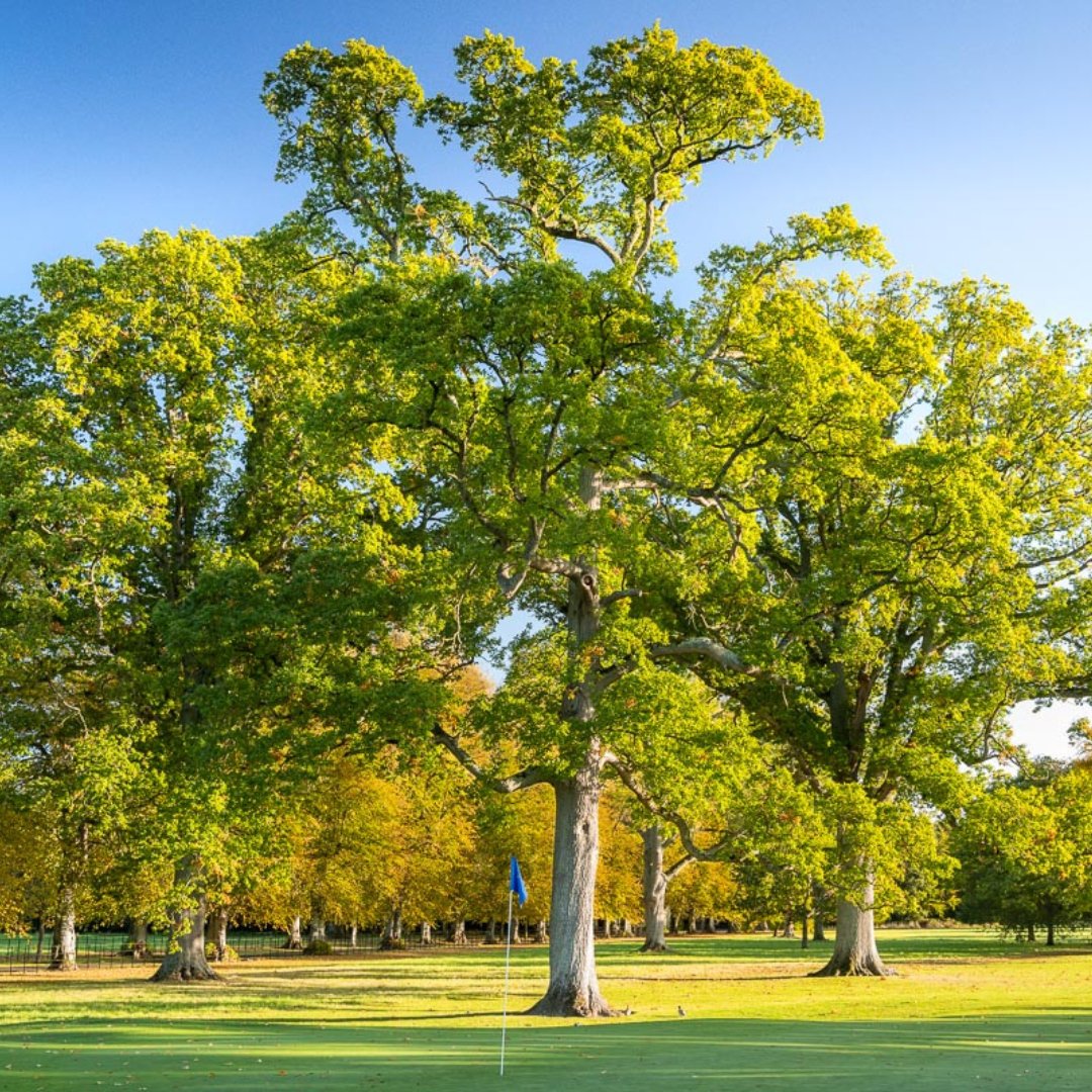 Celebrating the breath-taking displays of nature on our magnificent golf course this Earth Day & Praising our hardworking greenkeepers for maintaining it's beauty every day! #EarthDay2024 #CelebrateNature #LuttrellstownCastleResort #WhereLuxuryReigns