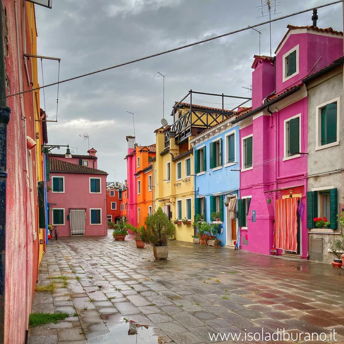 « Rêve ta vie en couleur, c'est le secret du bonheur. » 
Walt Disney

Bonjour et excellent début de semaine 
#Burano