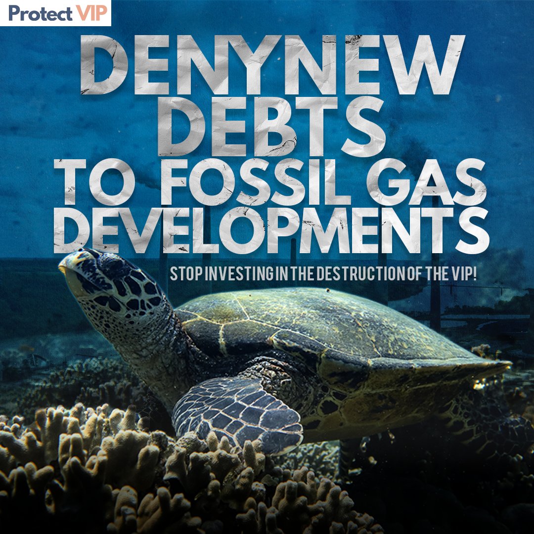 It's time to tell international financial institutions to stop investing in fossil gas projects in the VIP! 📢