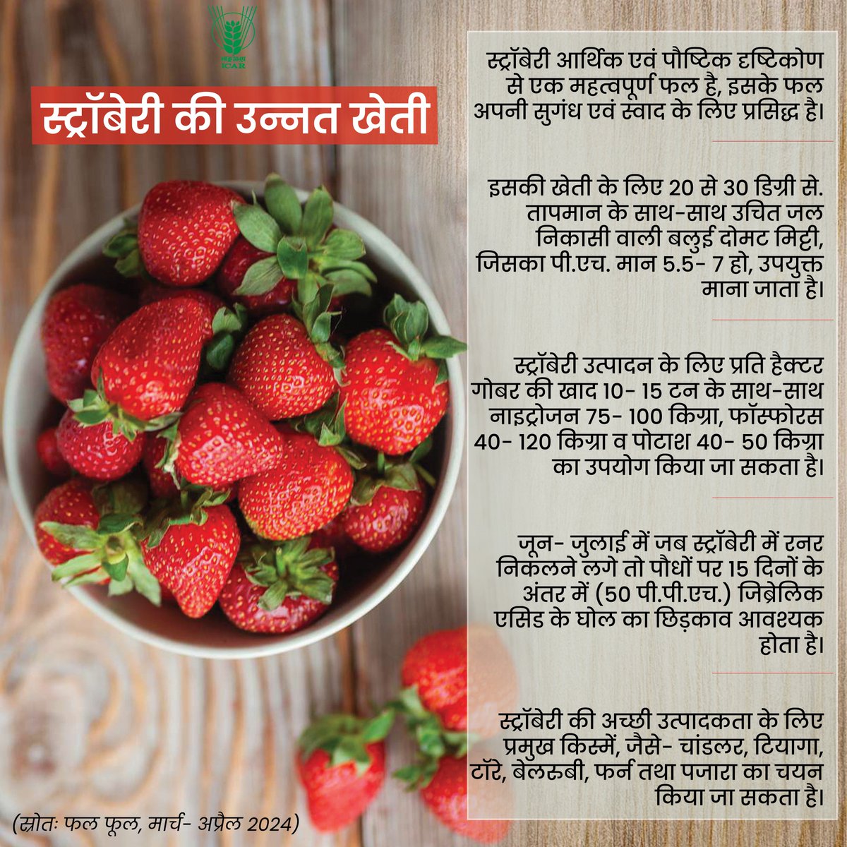 स्ट्रॉबेरी की उन्नत खेती #Agriculture  #ICAR #strawberry
@PMOIndia @mygovindia @PIB_India
@AgriGoI @DDKisanChannel

Read more: icar.org.in/phal-phool