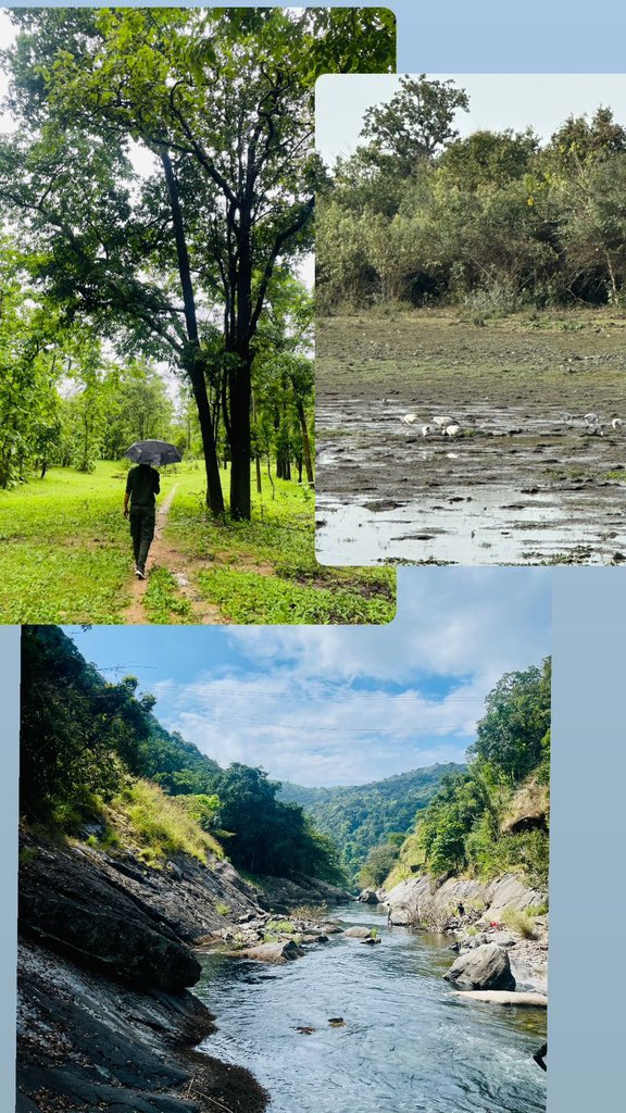vikesh1340's tweet photo. Today on #EarthDay remember the earth belongs to all creatures, not just humans. If #habitat will go, they too will go. https://t.co/bfoyu9Ylw4