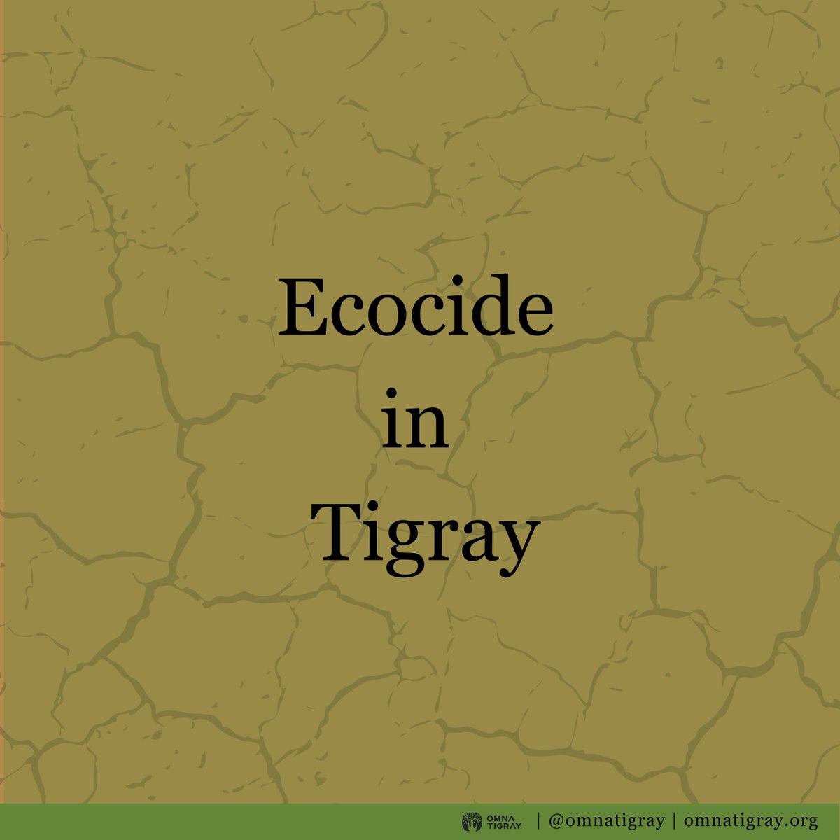 OmnaTigray's tweet photo. The #TigrayGenocide includes #ecocide, alarmingly causing deforestation, soil degradation &amp; pollution &amp; threatening ecosystems, lives➕livelihoods. Without preventing more damage &amp; applying land restoration practices, there's a risk of the region becoming inhabitable #EarthDay🧵 https://t.co/otpTvbsdkg