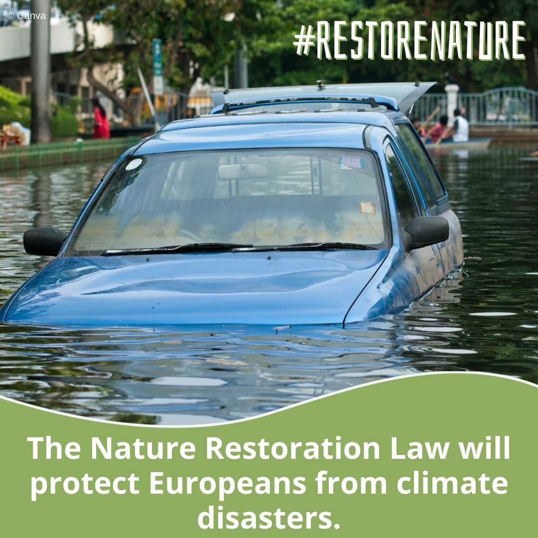 We urge 🇪🇺 to approve the Nature Restoration Law and:

🌟Restore 25,000 km of rivers
🌟Restore 20% of degraded land & sea areas
🌟Help species not covered by other laws
🌟Repair all ecosystems in need by 2050

We must #RestoreNature to boost our resilience to climate change!