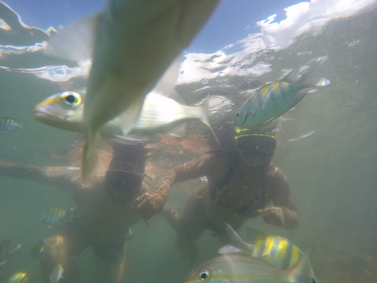 Mergulho <a href="/PraiadoFrances_/">Praia do Francês</a> <a href="/BerguinhoF/">Berguinho Freitas</a>