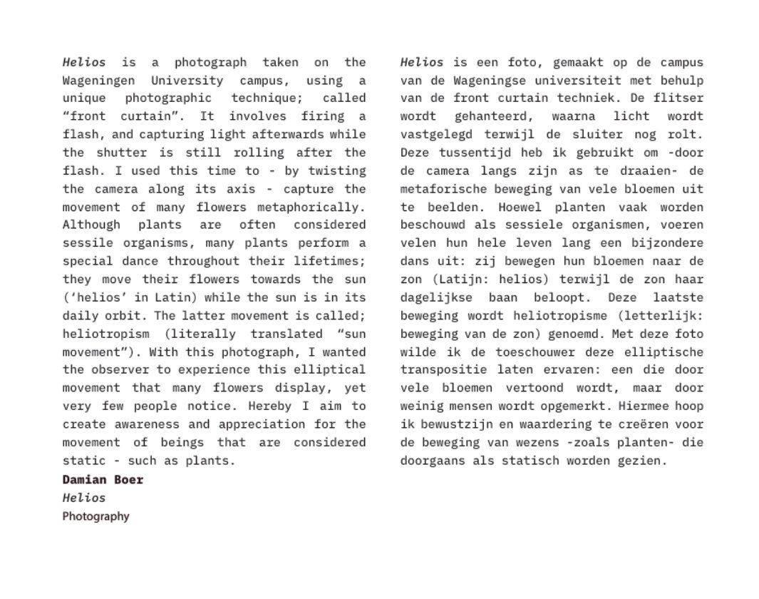 that_damian's tweet photo. I love #plantscience, as well as #photography/visual arts! Thus, I'm always happy to combine both. Recently I was featured in a new edition of Uitwaaien Magazine, a #magazine for local #artists: (https://t.co/0Inf8wmAci) to visualize plant #heliotropism. #plantscience #scicomm https://t.co/ZnIpIcCvJc