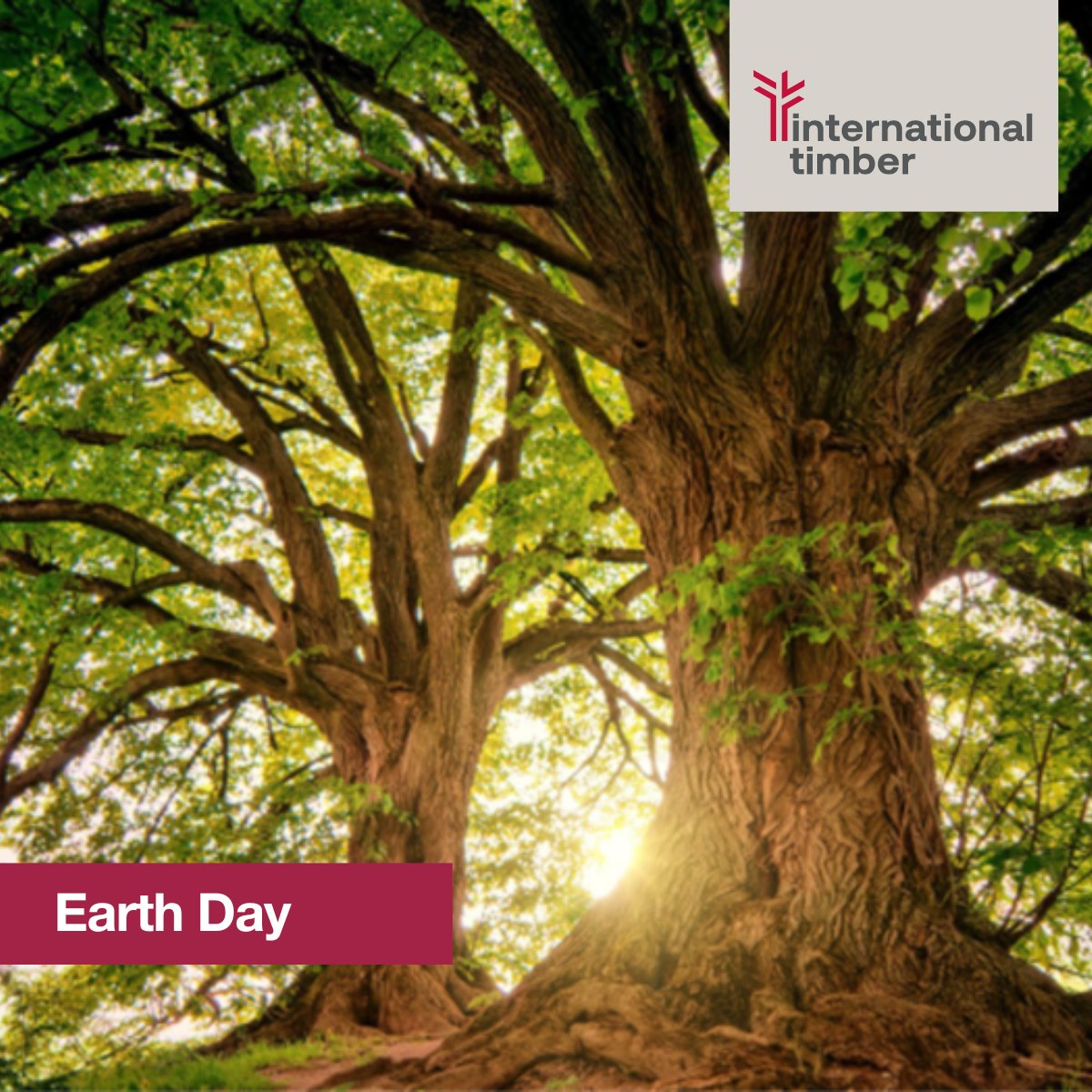 Today we celebrate Earth Day - a day created to raise awareness of environmental issues and advocate for long terms ecological sustainability #itsnotadayitsamovement