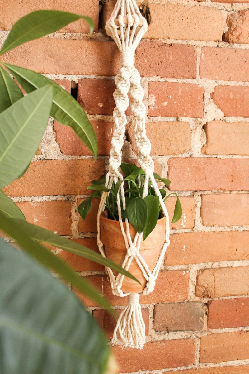 Macramé Plant Hanger Workshop 📆 22 May ⏰ 6pm Love house plants? Why not show them off in beautiful macramé plant hangers made with your very own hands? 😍 We will provide the know-how, pot and cord. All you need to do is get knotting! More info: 🔗 buff.ly/4aWxFm4